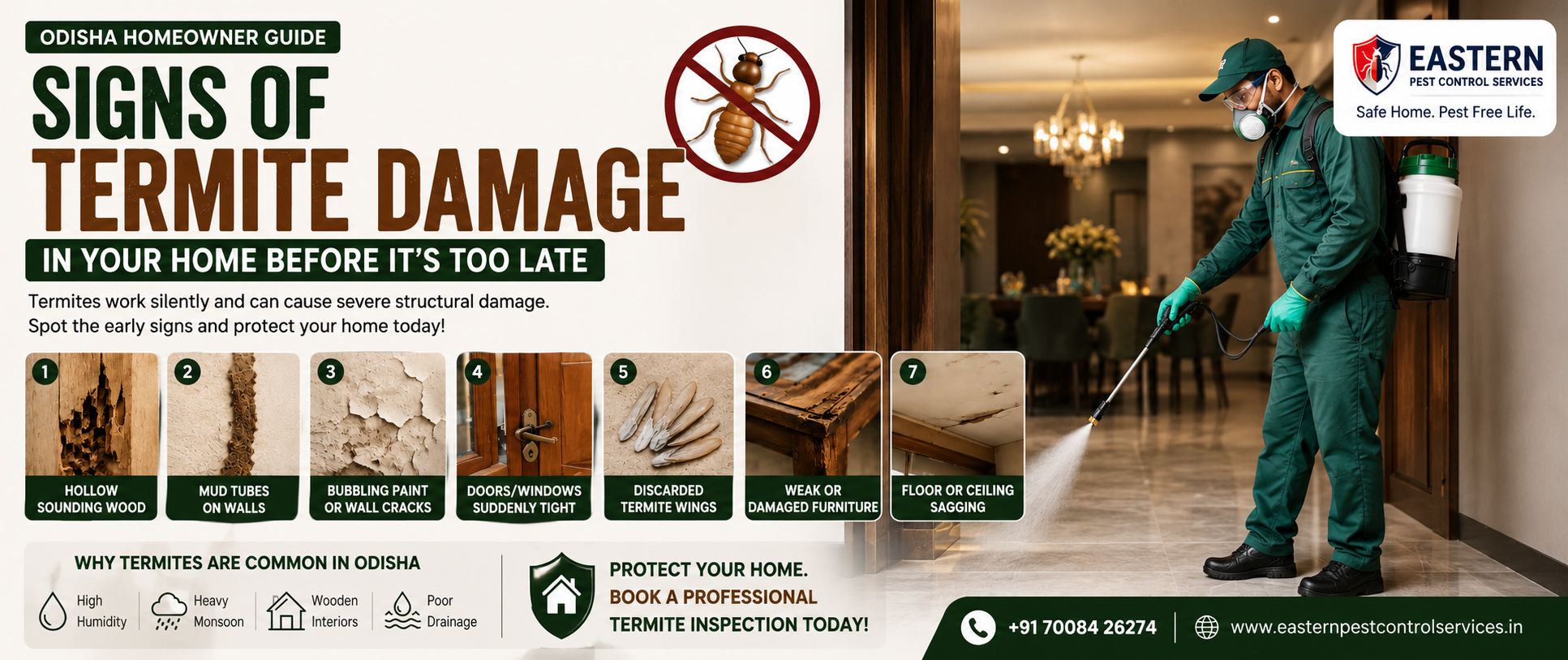 Signs of Termite Damage in Odisha Homes