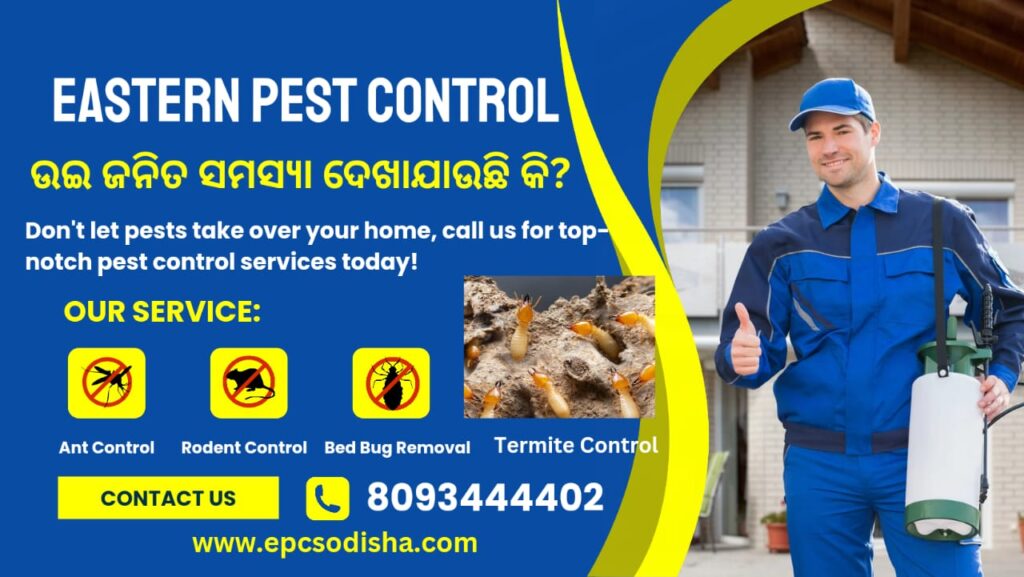 Termites in a House?