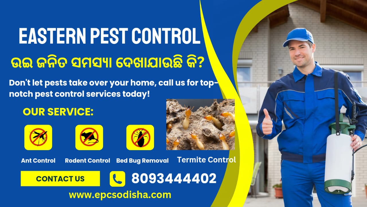 Termites in a House?