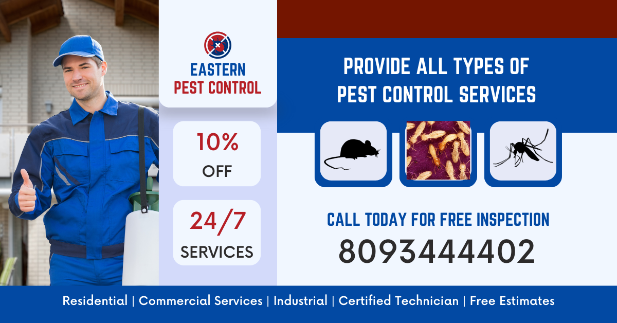 Cockroach In House Treatment: How to Get Rid of Cockroaches Effectively