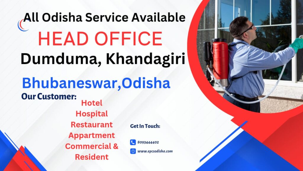 Termites in a House?