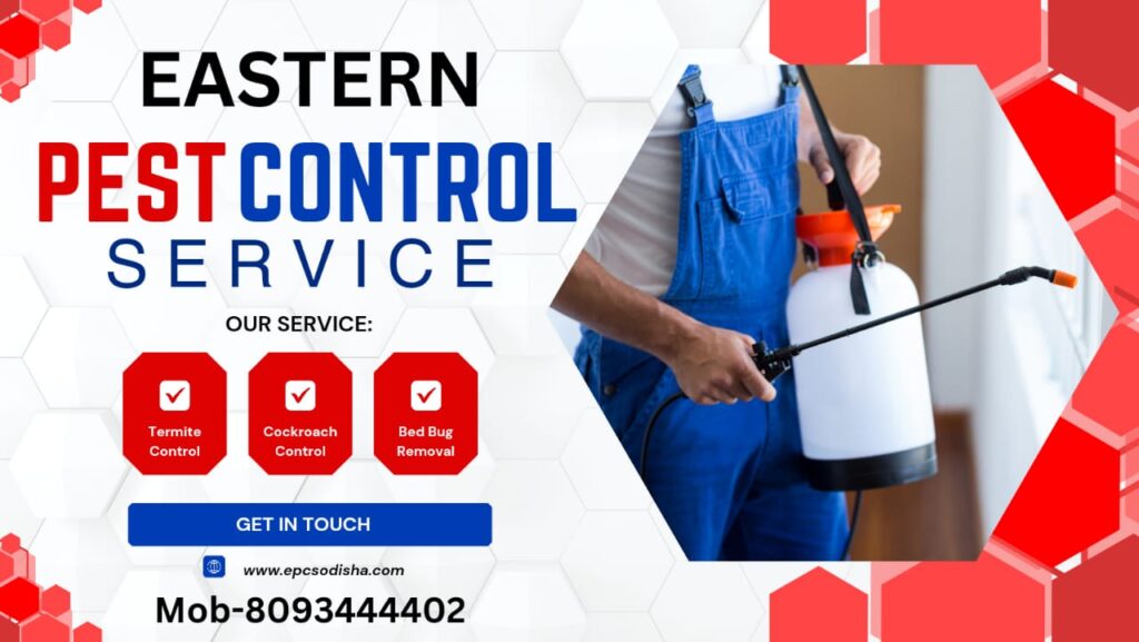 Natural Ways to Remove Mosquitoes from Home and Work Place