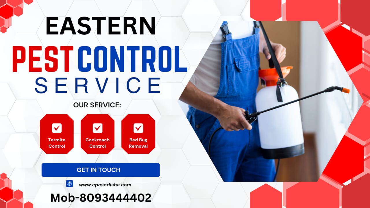 Natural Ways to Remove Mosquitoes from Home and Work Place